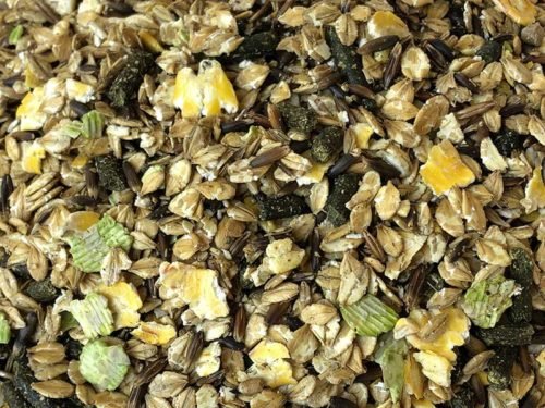 AGRI HORSE POULINIÈRE (COMA7S)