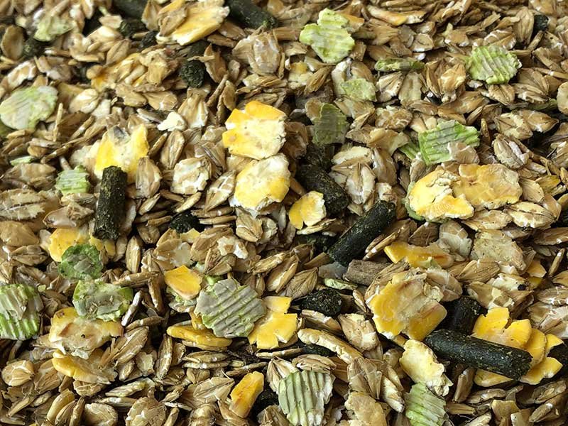 IMG_0330_AGRI_HORSE_COMCSS_-compressor