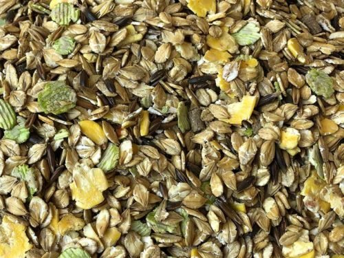 AGRI HORSE ÉLEVAGE (COMABS)