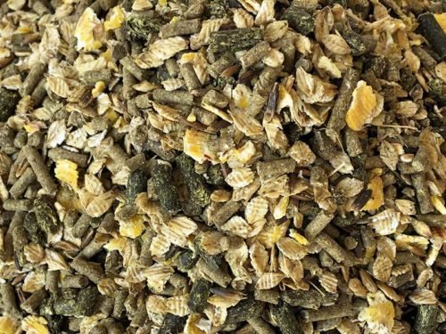 AGRI HORSE CHEVAL ENTRETIEN (COMAAS)