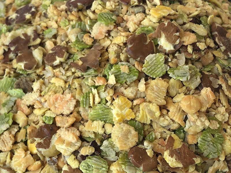 IMG_0394_AGRI_HORSE_COMPRS_-compressor