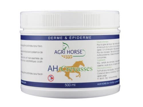 AH-CREVASSES – LCH