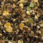 READY FOAL PLUS – SEVRAGE 2 ÂGE