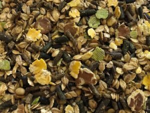 READY FOAL PLUS – SEVRAGE 2 ÂGE