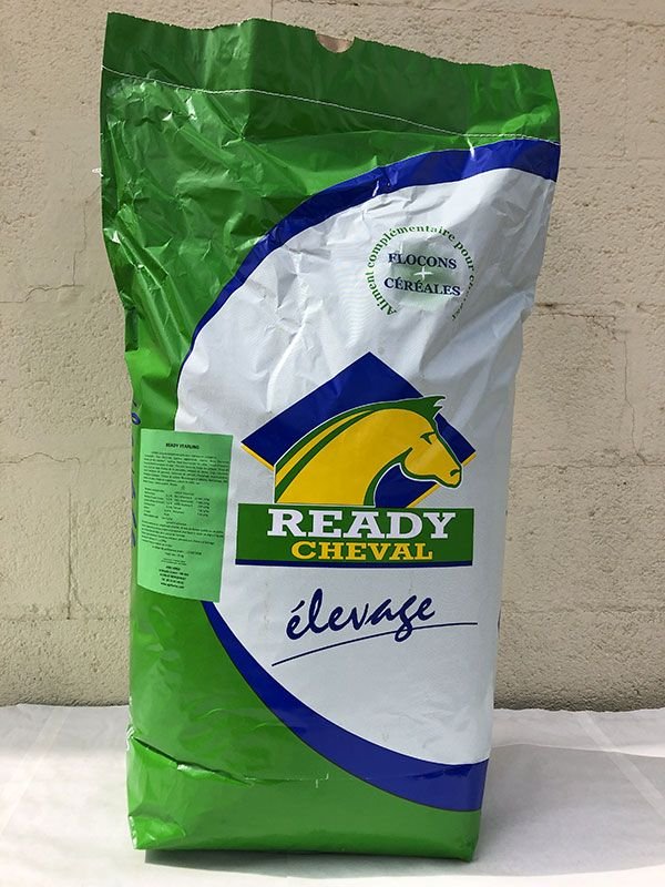 IMG_0581_READY_YEARLING-compressor