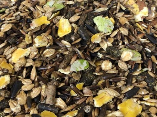 READY PERFORMANCE LCH