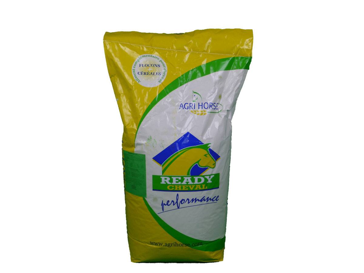 Ready_cheval_foal_plus_PNG