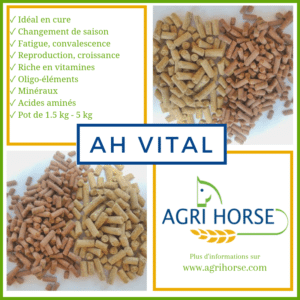 AH VITAL – Spécial Automne – Compléments alimentaires