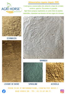 Sélection de plantes pour l&rsquo;automne