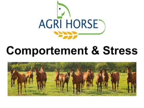 Comportement & Stress