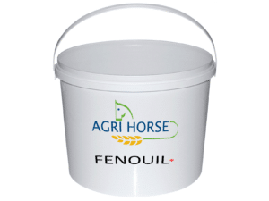 FENOUIL