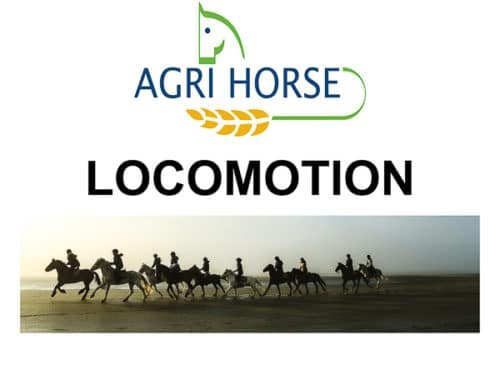 Locomotion