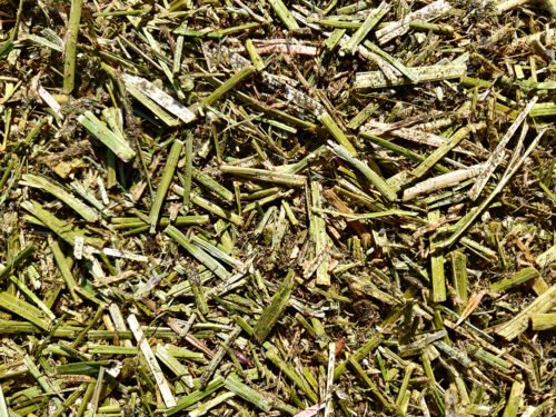 LUZERNE READY (Avec mélasse)