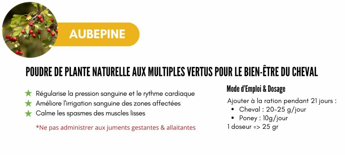 Aubepine