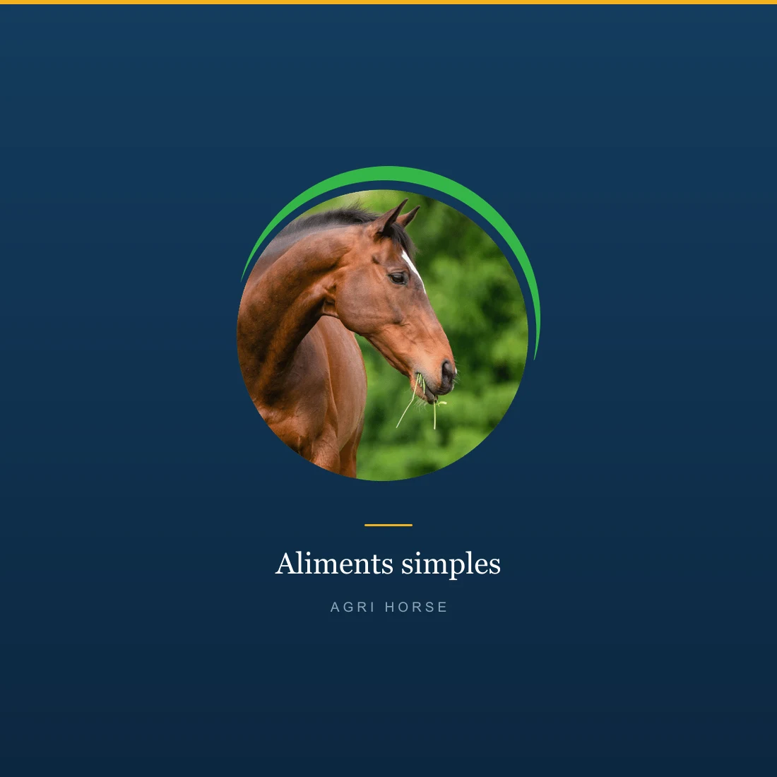 generique-simples