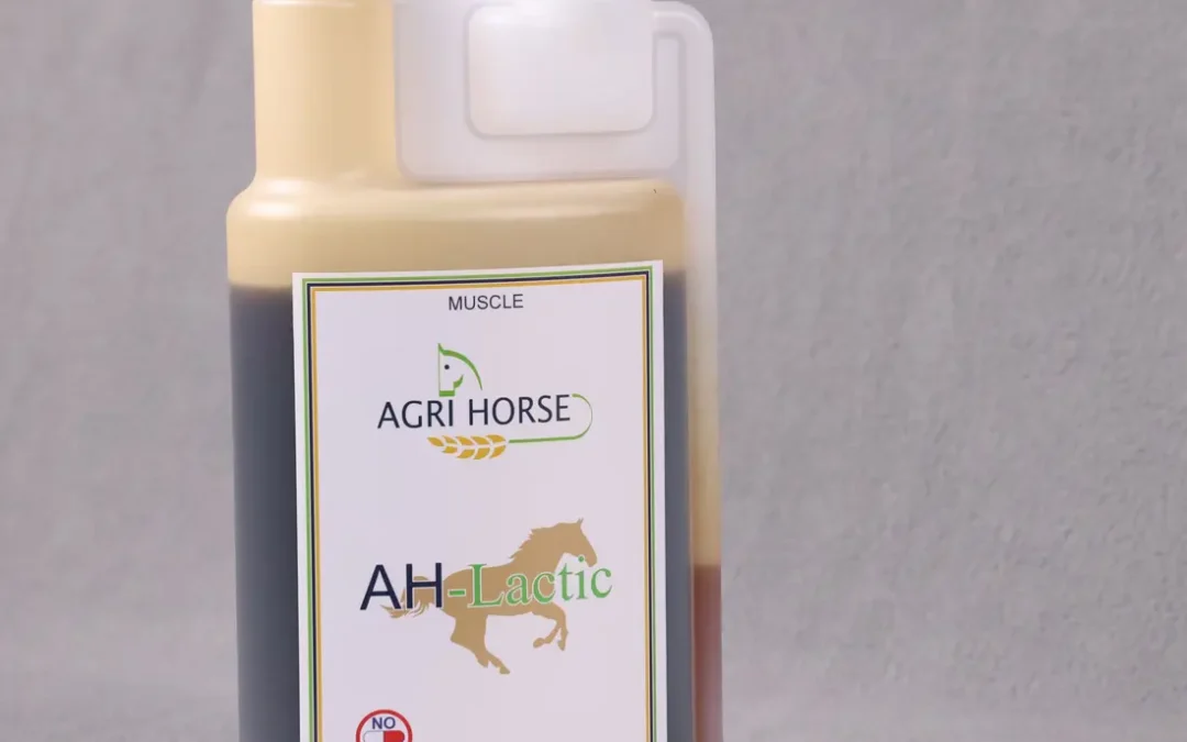AH-LACTIC - Garantie LCH