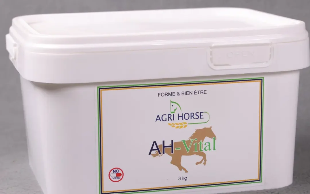 AH-VITAL - Garantie LCH