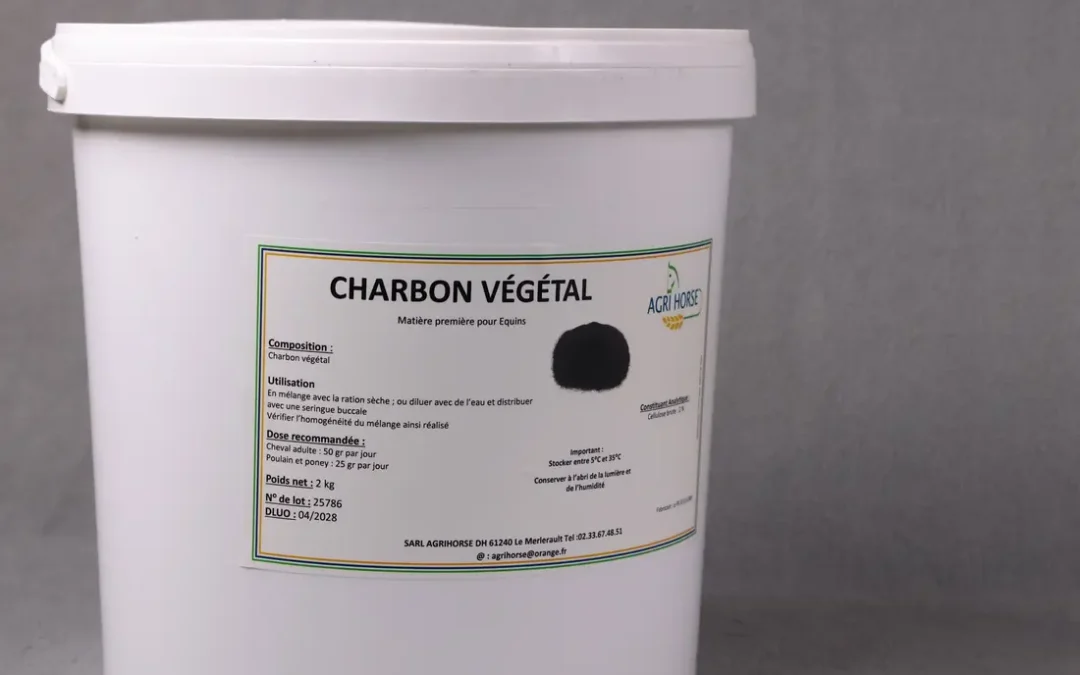 CHARBON VÉGÉTAL