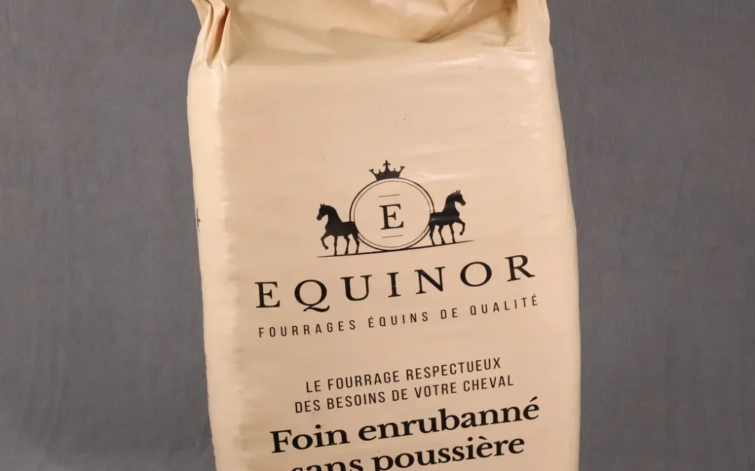 EQUINOR