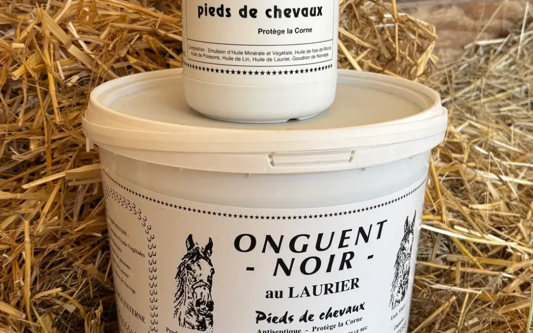 ONGUENT NOIR VISCOSITOL