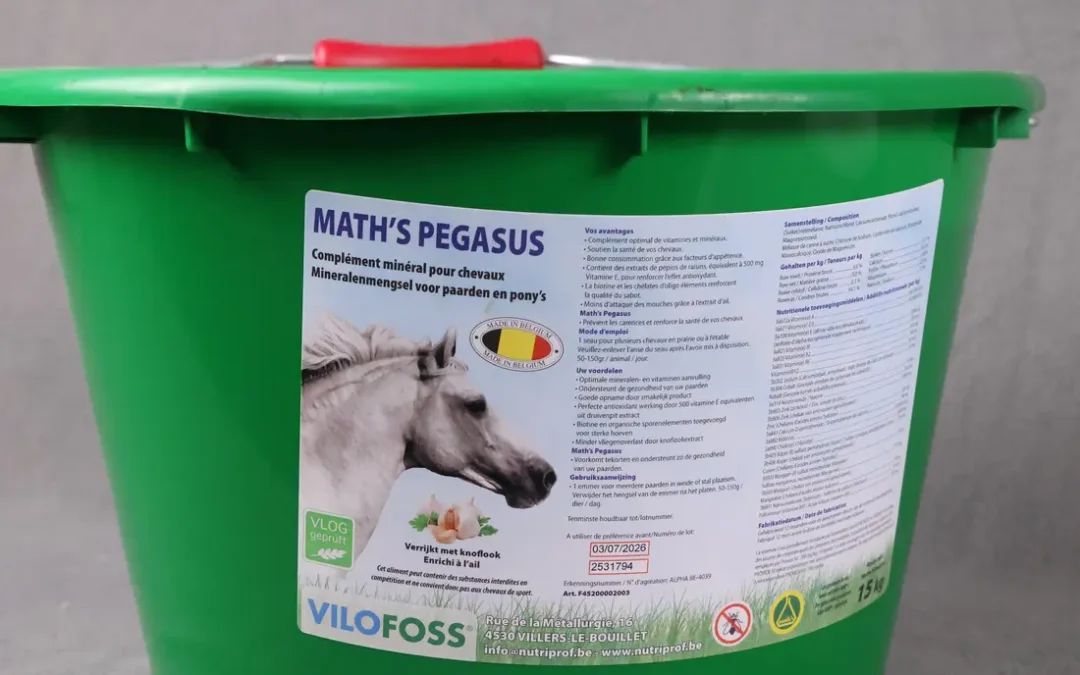 SEAU À LÉCHER MATH’S PEGASUS
