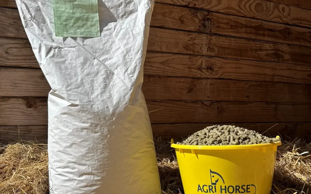 AGRI HORSE ELEVAGE BOUCHON