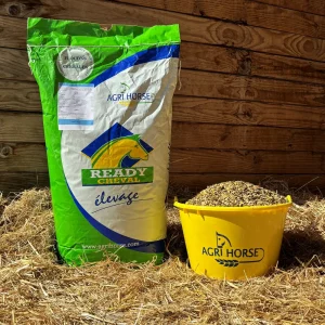 READY FOAL 1ER AGE