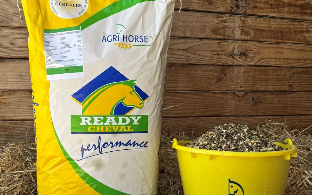 READY FOAL PLUS (2ÈME ÂGE)