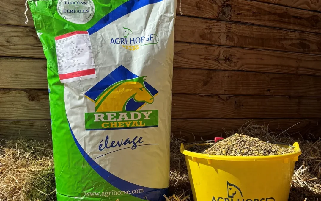 READY YEARLING FIBER