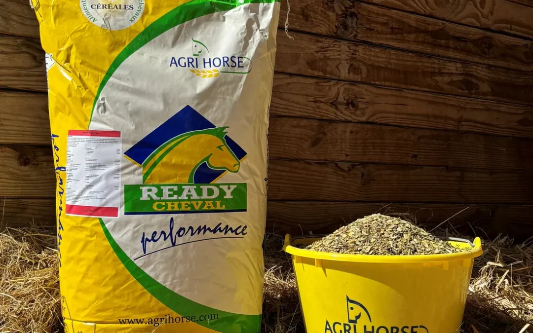 READY FOAL PLUS FIBER